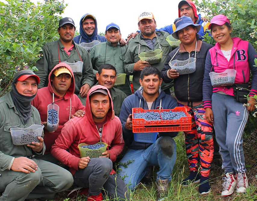 Proyecto ATLAS en Argentina