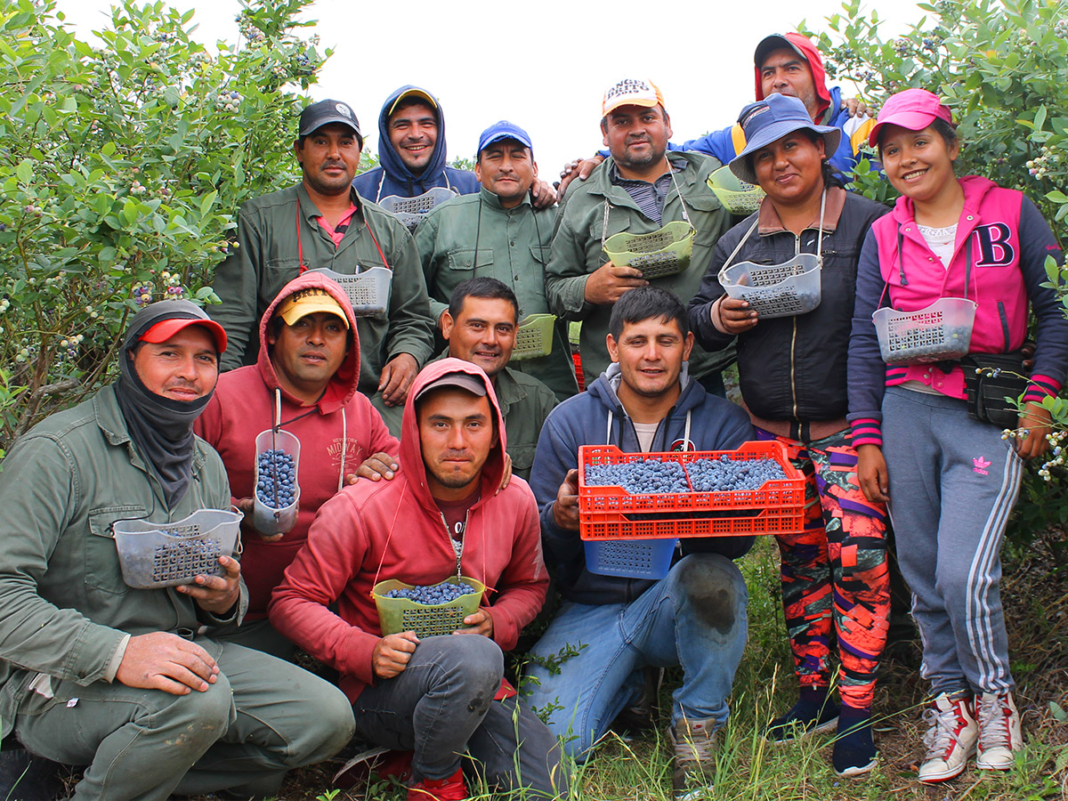 Proyecto PAR Argentina