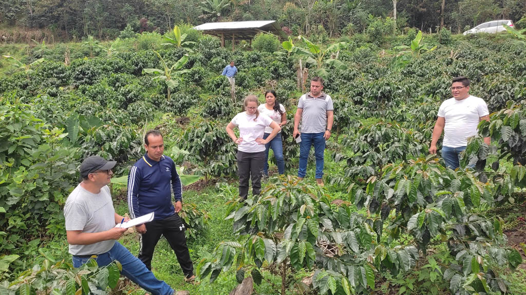 Catalizador – Erradicación del Trabajo Infantil — 3