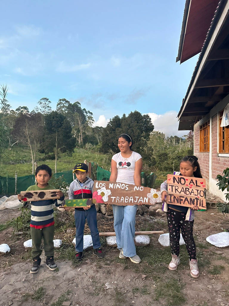 Catalizador – Erradicación del Trabajo Infantil — 4