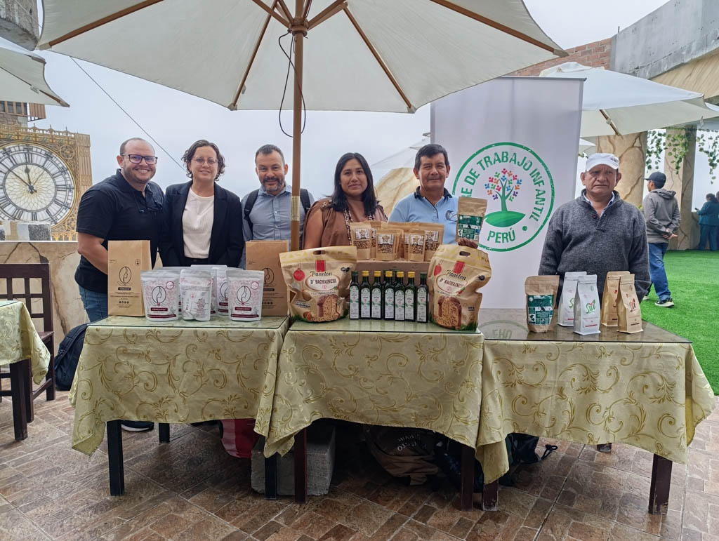 Catalizador – Erradicación del Trabajo Infantil — 5