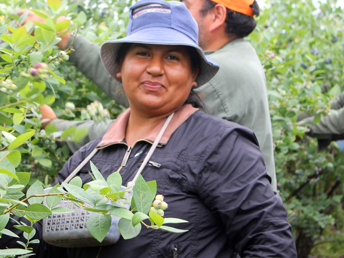 Proyecto PAR – Producción Agrícola Responsable — 3