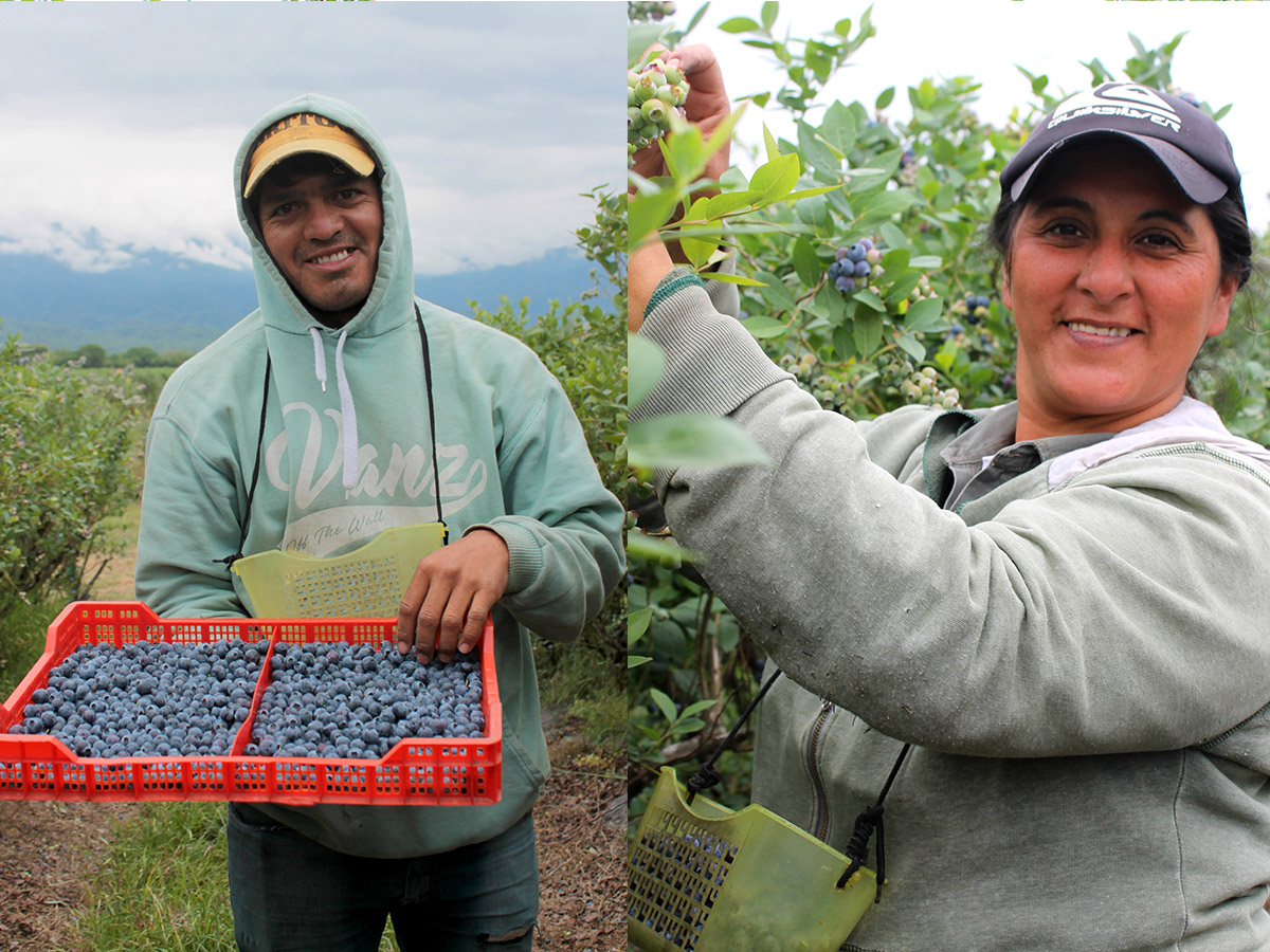 Proyecto PAR – Producción Agrícola Responsable — 4