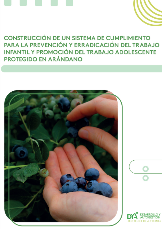 Construccion de un sistema de Cumplimiento para la prevencion y la Erradicacion del Trabajo infantil y la Promocion del Trabajo Adolescente en Arandano
