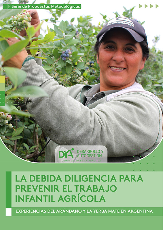 La debida diligencia para prevenir el trabajo infantil agricola