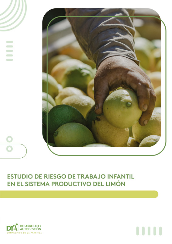 Estudio de Riesgo del Trabajo Infantil en el Sistema Productivo del Limon