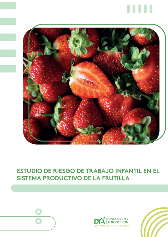 Estudio de Riesgo del Trabajo Infantil en el Sistema Productivo de la Frutilla