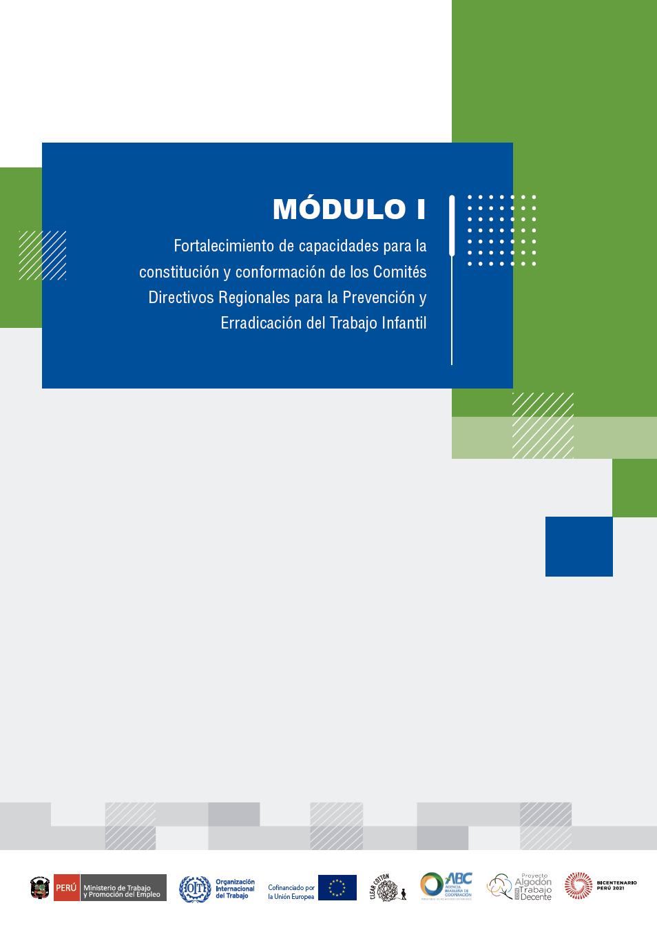 Fortalecimiento de capacidades para la constitucion y conformacion de los Comites Directivos Regionales para la Prevencion y Erradicacion del Trabajo Infantil — Modulo 1