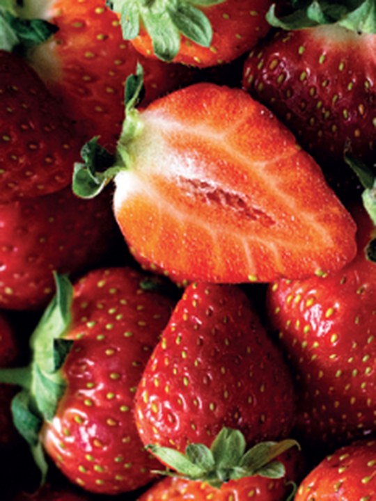 Risk Study of Child Labor in the Strawberry Production System