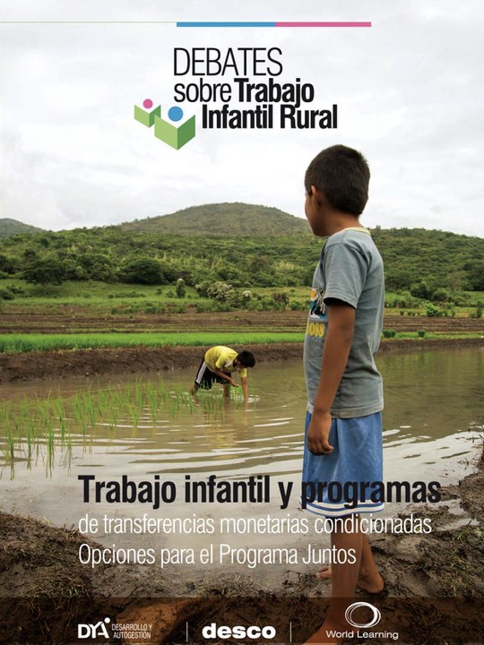 Child Labor and Conditional Cash Transfer Programs