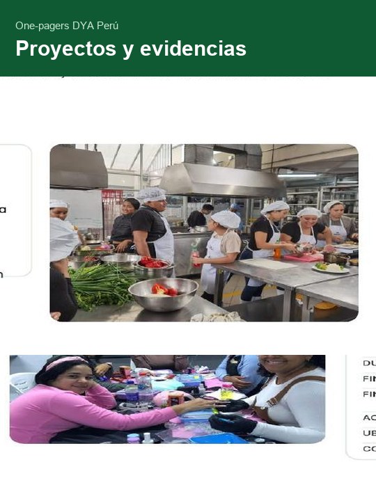 DYA Peru one-pagers: projects and evidence