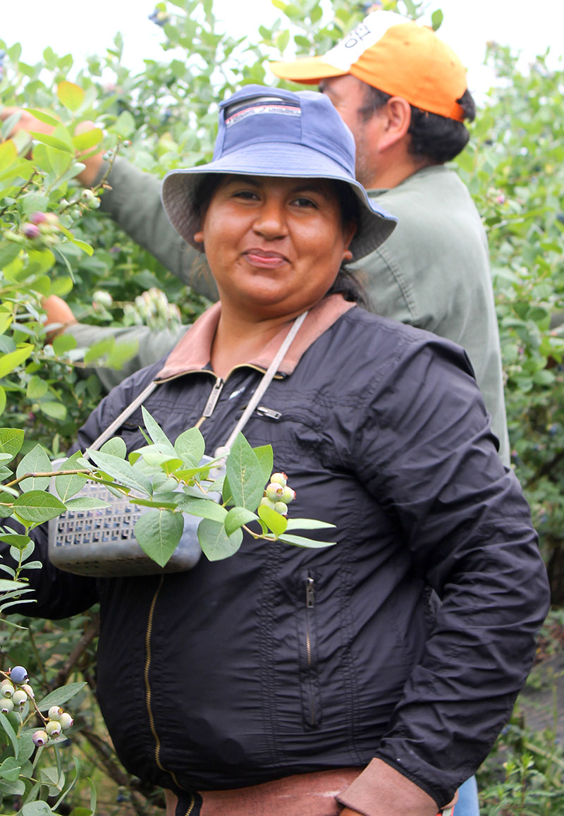 Investigaciones y evaluaciones de DYA