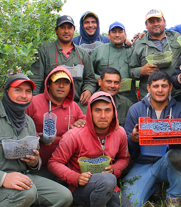 Fortalecimiento de capacidades locales