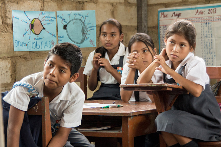 Consolidación en la Amazonía